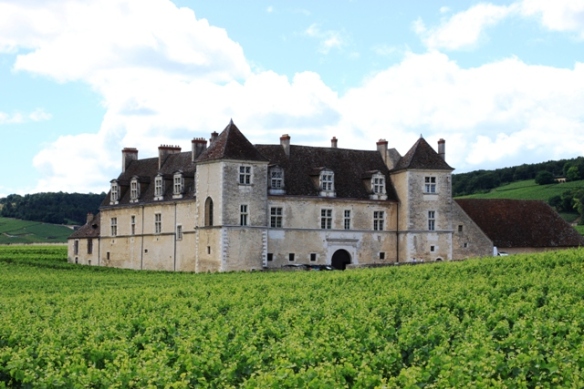 Castle with vineyards